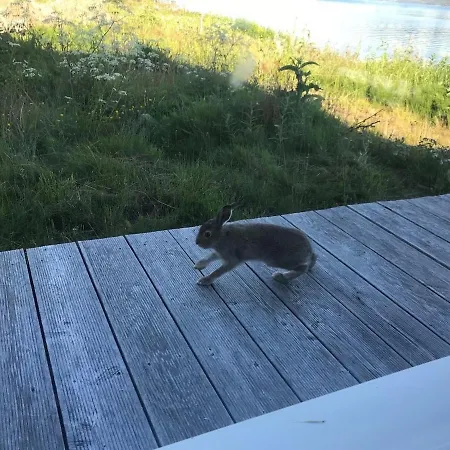 Moderne Ved Havet 3 Soverom Og 2 Bad فيلة