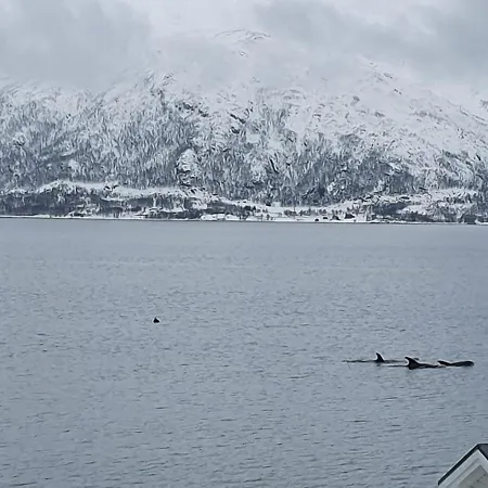 فيلة Moderne Ved Havet 3 Soverom Og 2 Bad *