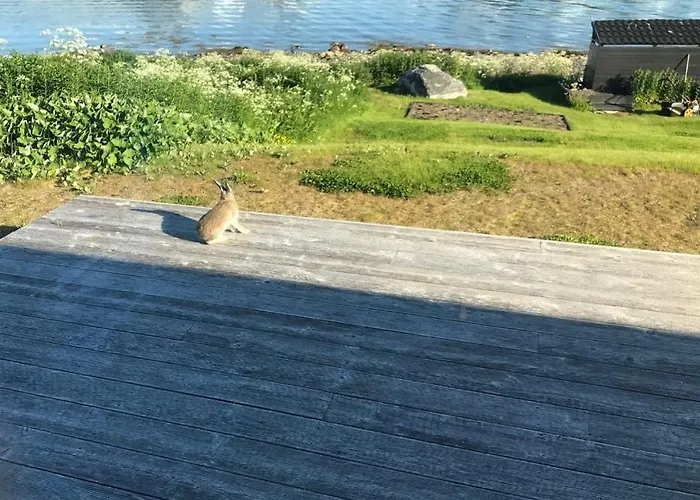 Villa Moderne Ved Havet 3 Soverom Og 2 Bad Tromsø