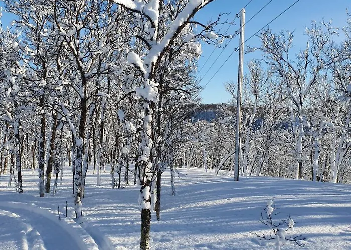 Villa Moderne Ved Havet 3 Soverom Og 2 Bad Tromsø