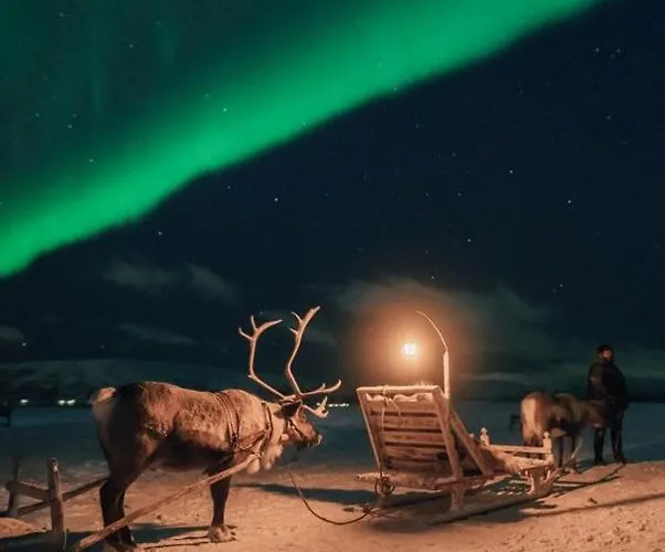 Moderne Ved Havet 3 Soverom Og 2 Bad