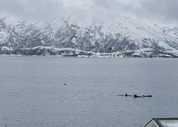 Willa Moderne Ved Havet 3 Soverom Og 2 Bad *