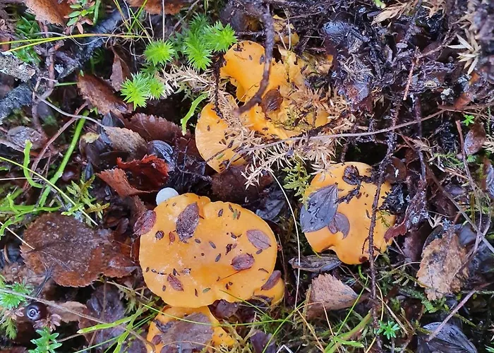 Moderne Ved Havet 3 Soverom Og 2 Bad Willa *